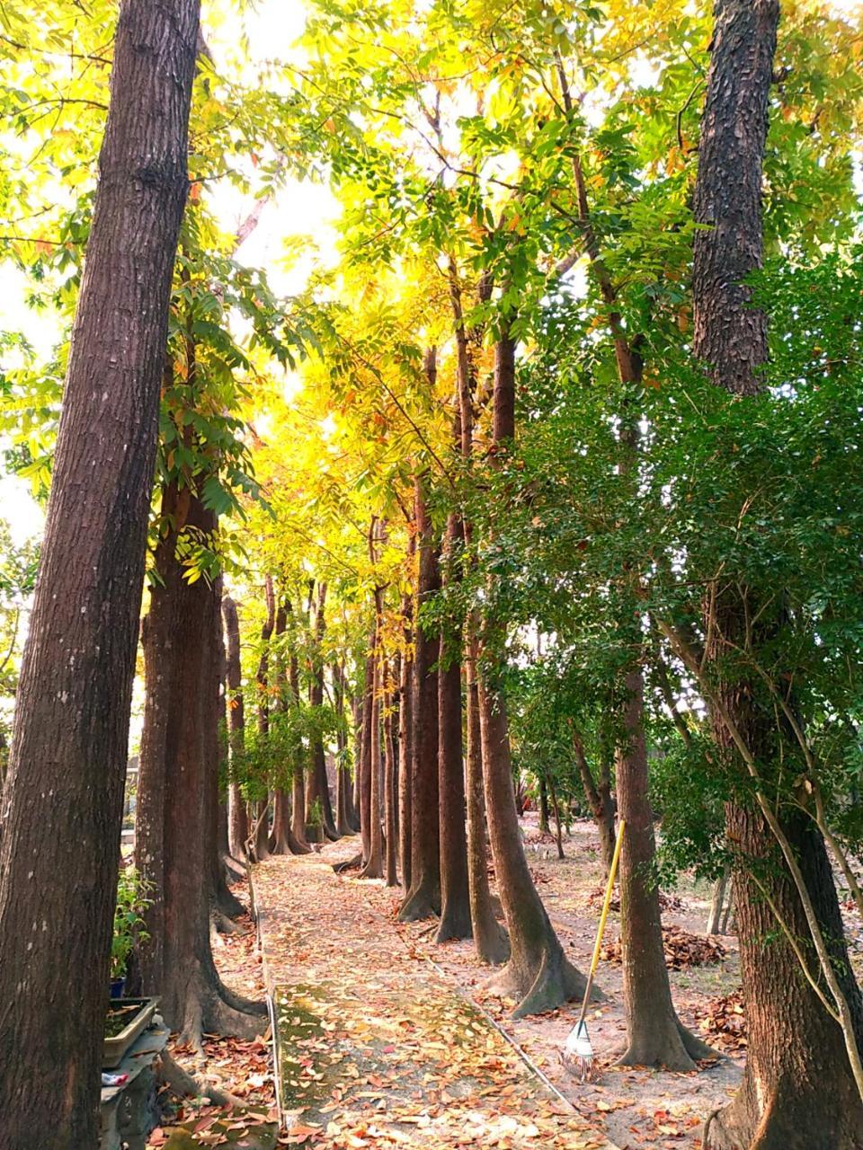 Meinong Yun Shanju Homestay Mei-nung Esterno foto