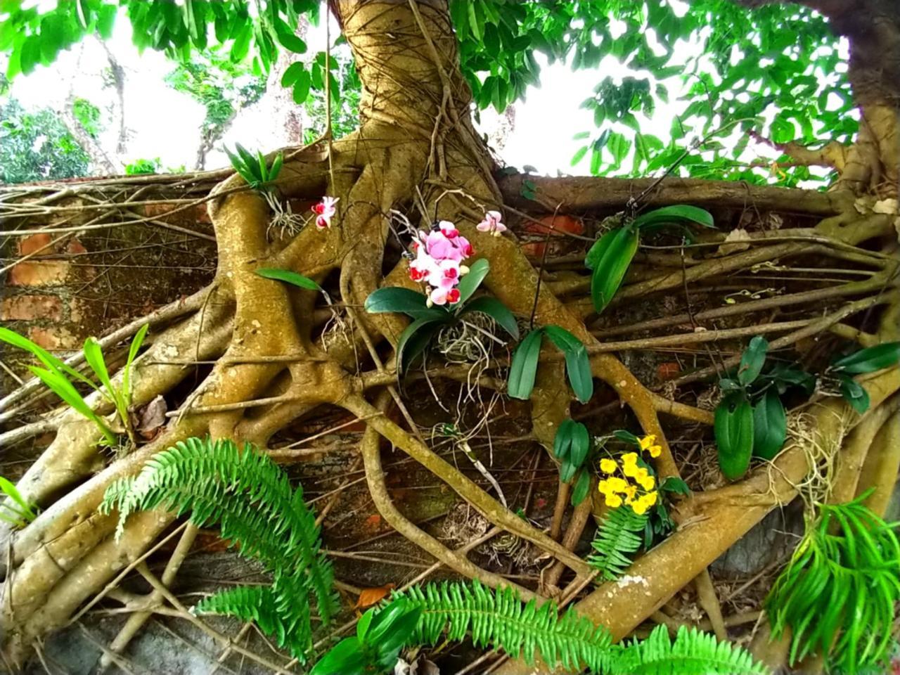 Meinong Yun Shanju Homestay Mei-nung Esterno foto